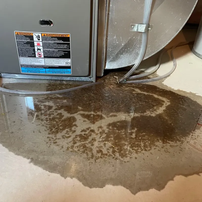 Appliance Leak Cleanup in Friendship, NY